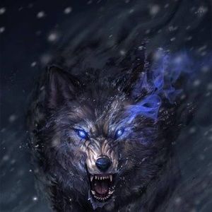 Meet your Posher, Danny